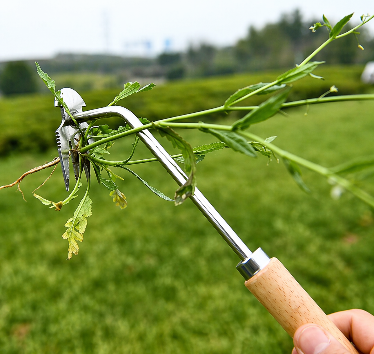 RootSnap™ Weed Remover
